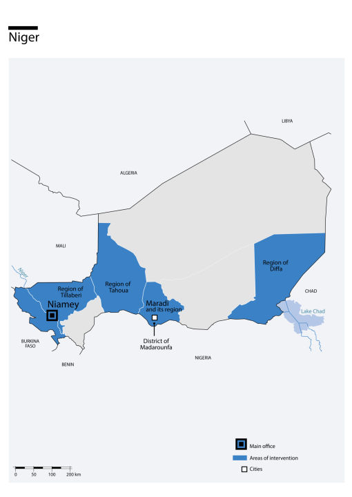 Kaart van HI-interventies in Niger