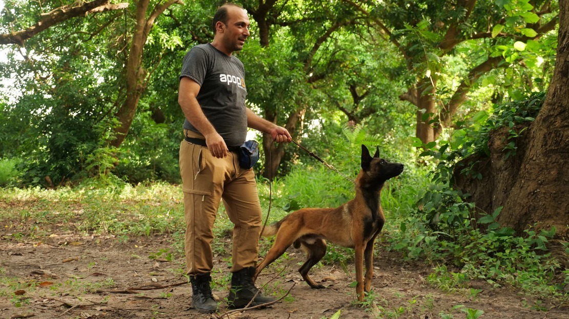 Nieuw hondenteam start met ontmijningswerk in Senegal