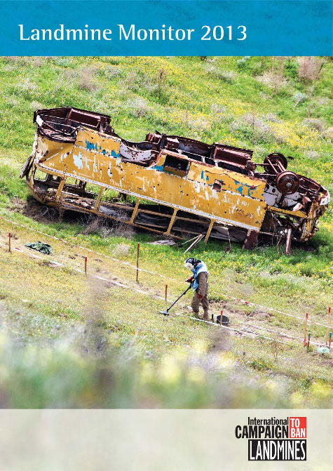 Landmine Monitor 2013