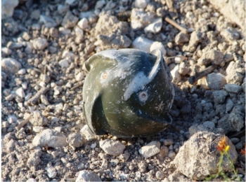 voorbeeld van munitie