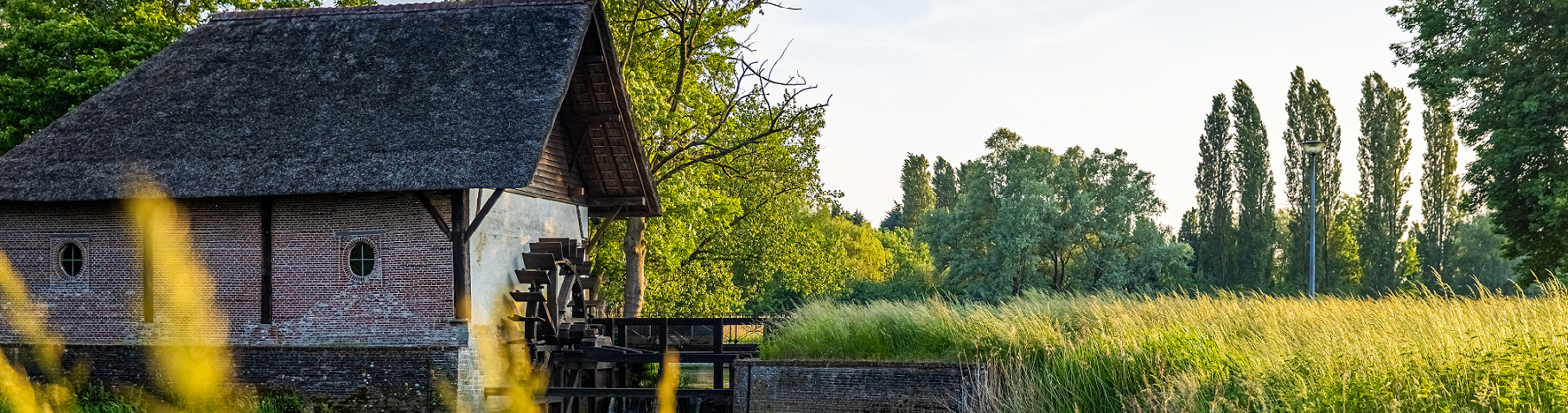 Een watermolen in de platteland - Hoogstraten