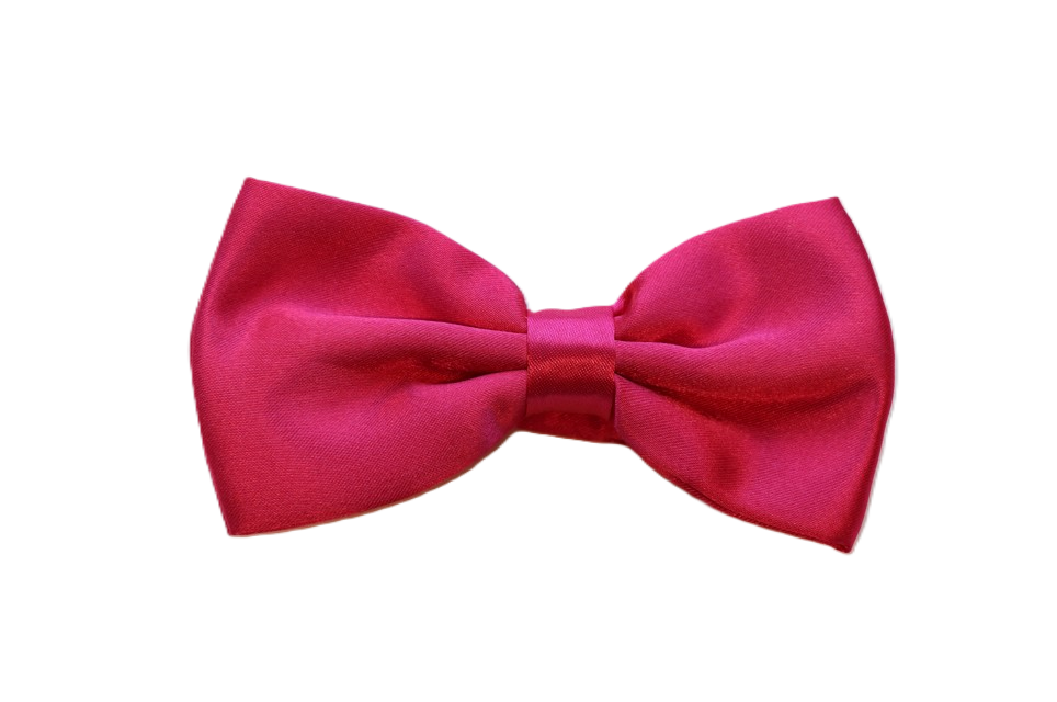 Nœud papillon
