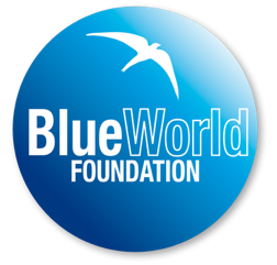 Logo BWF