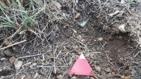 Gevonden Israëlische antipersoonsmijn en aangeduid met een rode driehoek door het HI-ontmijningsteam in het dorp Btater in het Libanese district Aley.